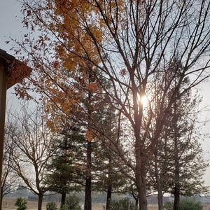 Meet your Posher, Julio